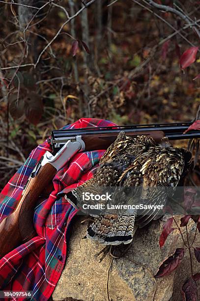 Overna Shotgun I Martwe Grouse - zdjęcia stockowe i więcej obrazów Bez ludzi - Bez ludzi, Broń, Broń palna