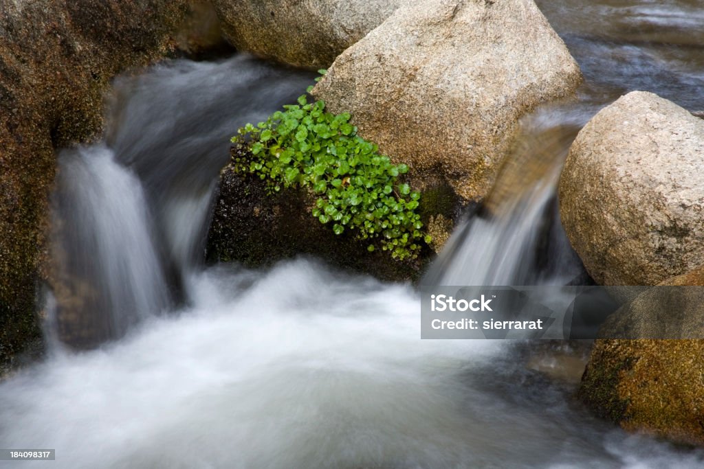 Miniaturizzati Weir - Foto stock royalty-free di Acqua