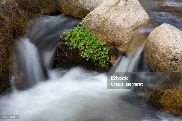 Miniaturizzati Weir - Fotografie stock e altre immagini di Acqua - Acqua, Acqua fluente, Cascata