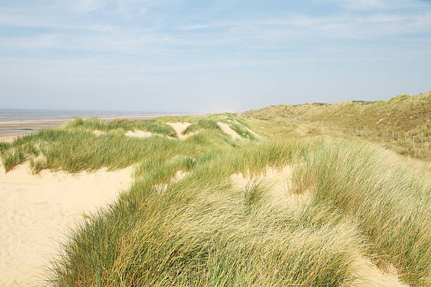 istock Sand dune landscape on north sea beach 184098574