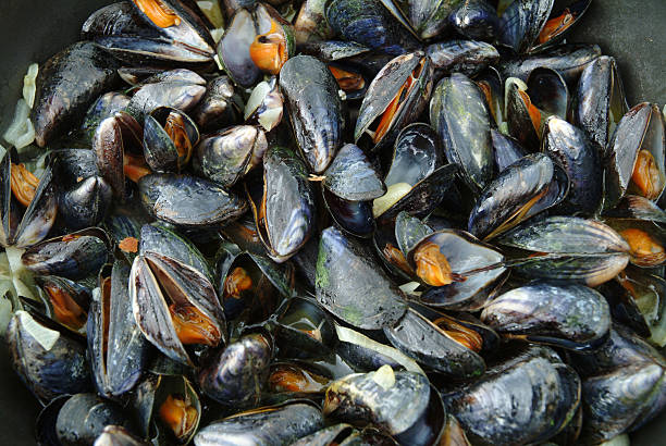Cooked Mussels In Frying Pan These shells were picked by ourselves in Normandy, France, and cooked by my wife. Camera: Fuji S2 Pro collection clam stock pictures, royalty-free photos & images