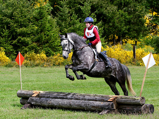 Beginning Horse & Rider Navigating Log Jump stock photo