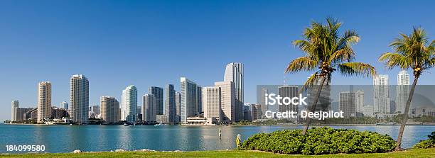 Downtown Miami City Skyline Usa Stock Photo - Download Image Now - Miami, Urban Skyline, Florida - US State