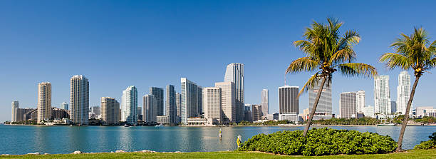 centrum miami panoramę miasta usa - miami florida skyline panoramic florida zdjęcia i obrazy z banku zdjęć