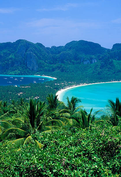istock koh phi don island krabi thailand beach 184099761