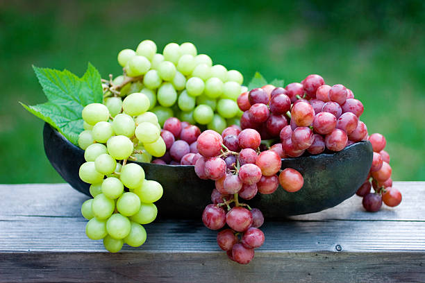 frischen weintrauben - grape green red purple stock-fotos und bilder