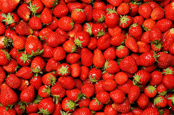 fondo, cientos de maduro fresas - strawberry fotografías e imágenes de stock