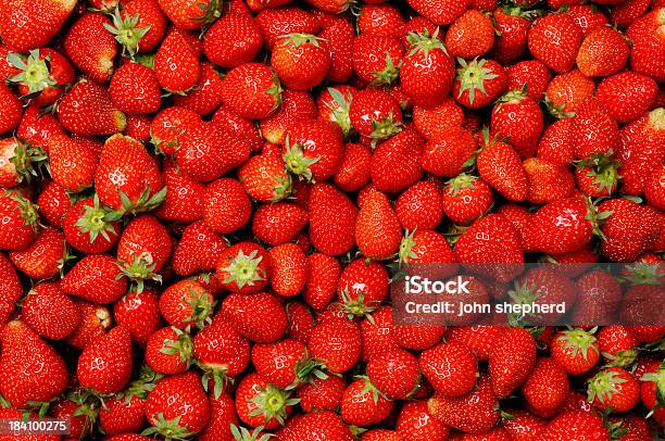 Fundo Centenas De Tomates Morangos - Fotografias de stock e mais imagens de Morango - Morango, Plano de Fundo, Grupo Grande de Objetos