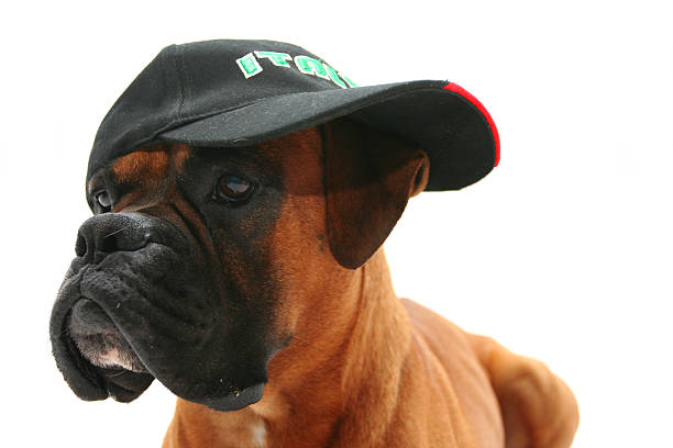 istock Italian football fan 184100432