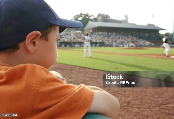 若い野球ファン - 野球のストックフォトや画像を多数ご用意 - 野球, 野球ボール, ファン