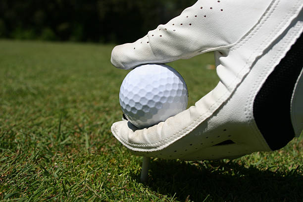 istock Hand with Golf Glove and Ball 184101021