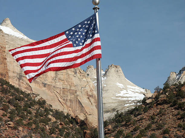 Flag at Zion National Park stock photo