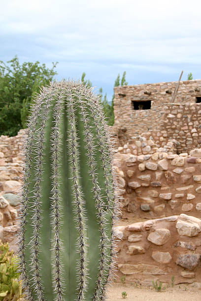 ruínas do sudoeste - ancient pueblo peoples - fotografias e filmes do acervo