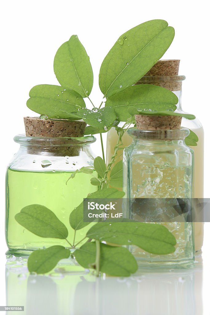 Composição de produtos de Casa de banho com verde folhas - Royalty-free Aromaterapia Foto de stock