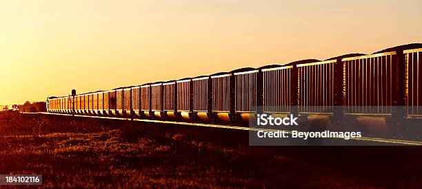 Trainload 블랙 골드 At 해질녘까지 기차에 대한 스톡 사진 및 기타 이미지 - 기차, 석탄, 화물 열차