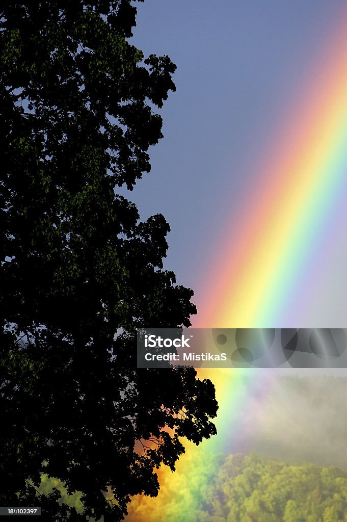 Rainbow é que s'esconde atrás de uma árvore - Foto de stock de Arco-íris royalty-free