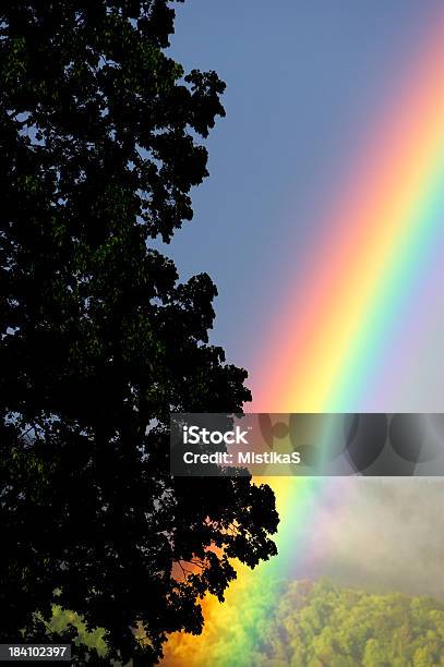 Rainbow Скрыта За Дерево — стоковые фотографии и другие картинки Вертикальный - Вертикальный, Возвышенность, Дерево