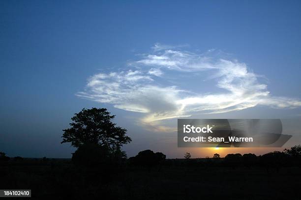 Photo libre de droit de African Sunset banque d'images et plus d'images libres de droit de Afrique - Afrique, Arbre, Ciel