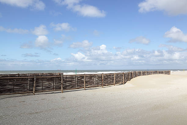 istock beach defenses against sand erosion  hazel fences sunny day 184102676