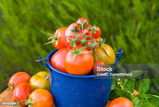Tomate Heirloom Jardín De Vegetales Harvest Foto de stock y más banco de imágenes de Abundancia - Abundancia, Aire libre, Albahaca
