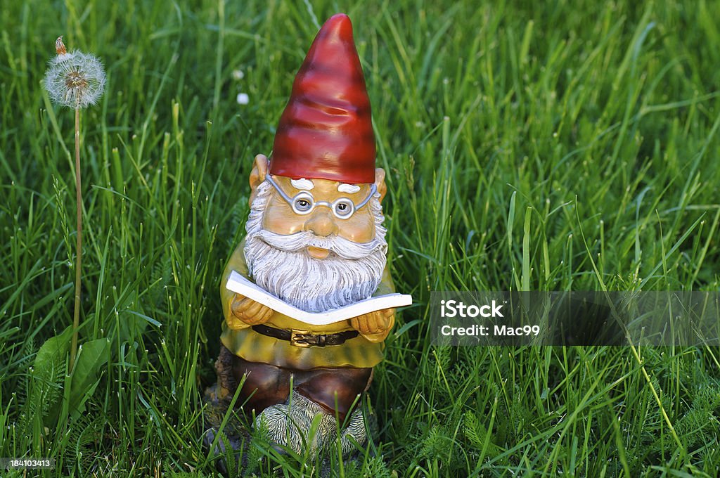 정원 바탕화면에서 Gnome 독서모드 예약 - 로열티 프리 읽기 스톡 사진