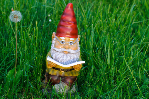 Garden Gnome reading book