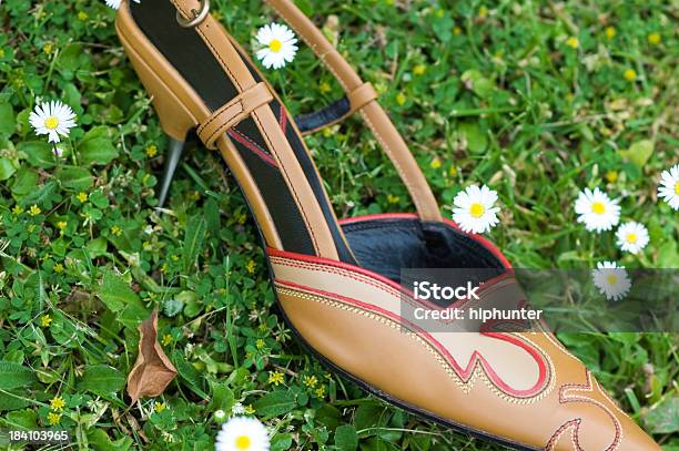 Eslinga De Bombas En El Césped Con Daisies Alrededor Foto de stock y más banco de imágenes de Aire libre