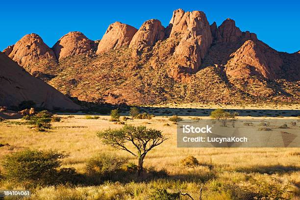 Felsformationen Mit Wüsten Gras Stockfoto und mehr Bilder von Afrika - Afrika, Baum, Berg