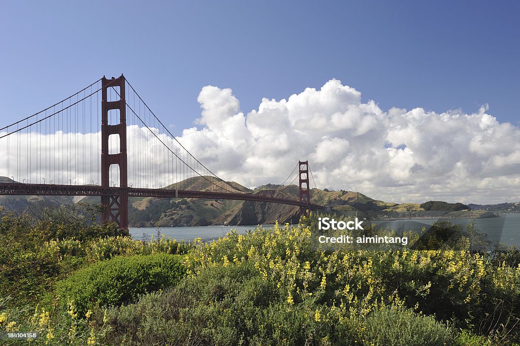 Golden Gate Bridge - Foto stock royalty-free di Acqua