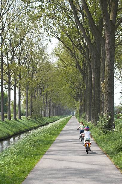 велоспорт в голландии - bikingpath стоковые фото и изображения
