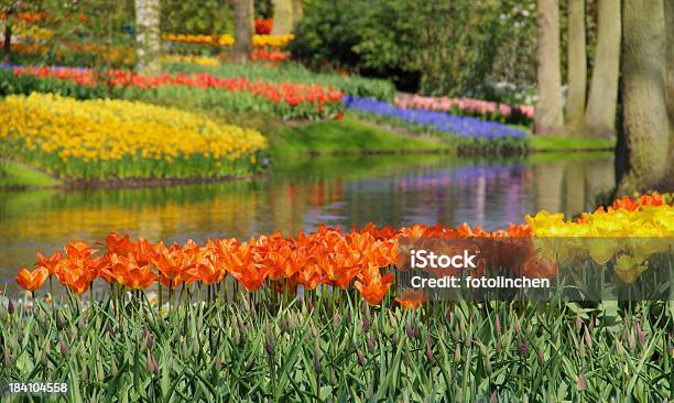 Frühling In Einem Park Stockfoto und mehr Bilder von Baum - Baum, Blau, Blume