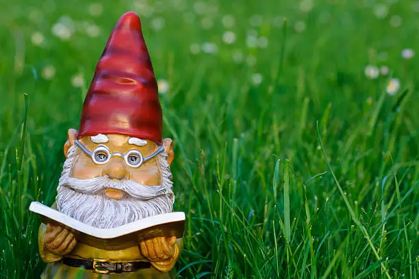 Garden Gnome reading book