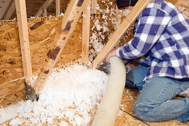 istock Worker Spraying Insulation between Attic Floor Joists and Roof Trusses 184104654