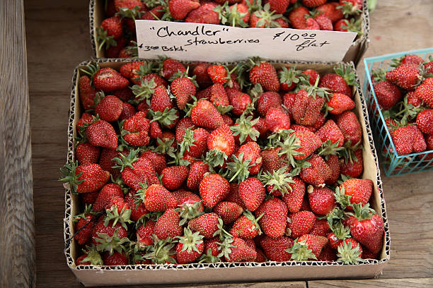 marché de producteurs : chandler des fraises - chandler strawberry photos et images de collection