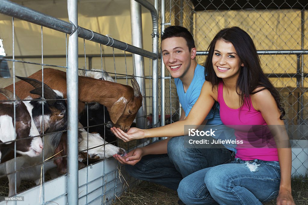 Couple heureux à la foire - Photo de Zoo familier libre de droits