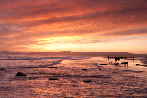 exmouth plage au coucher du soleil dans le devon - ankle deep in water photos et images de collection