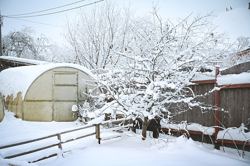 winter in the garden of a country house