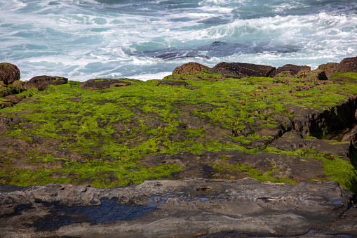 La Jolla California ocean views of rocks and waves