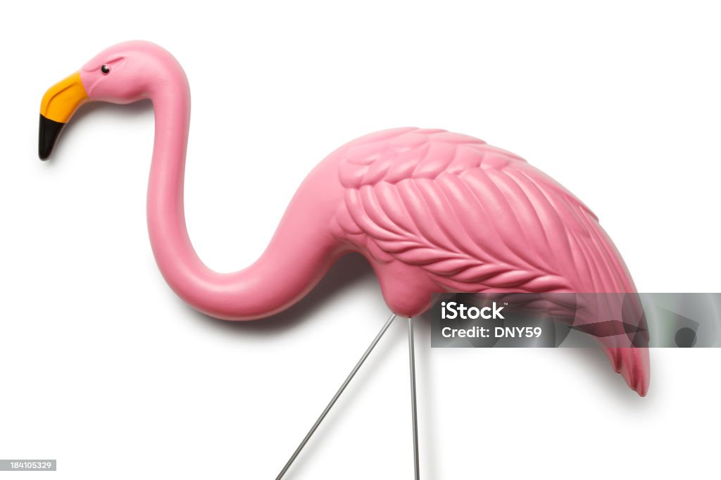 Flamingo rosa - Foto de stock de Flamingo de Plástico royalty-free