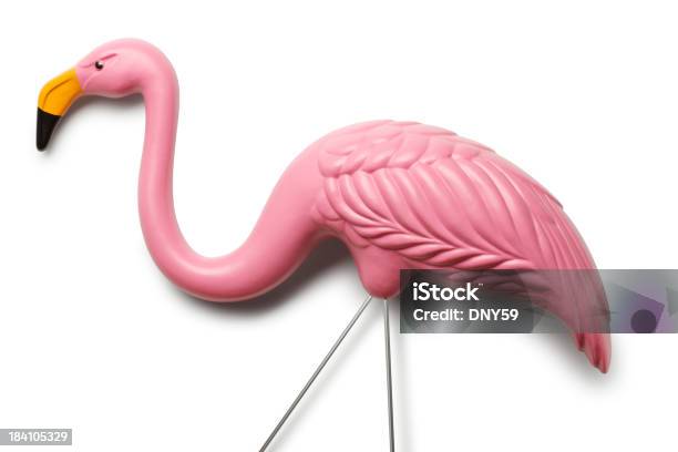 Foto de Flamingo Rosa e mais fotos de stock de Flamingo de Plástico - Flamingo de Plástico, Fundo Branco, Plástico