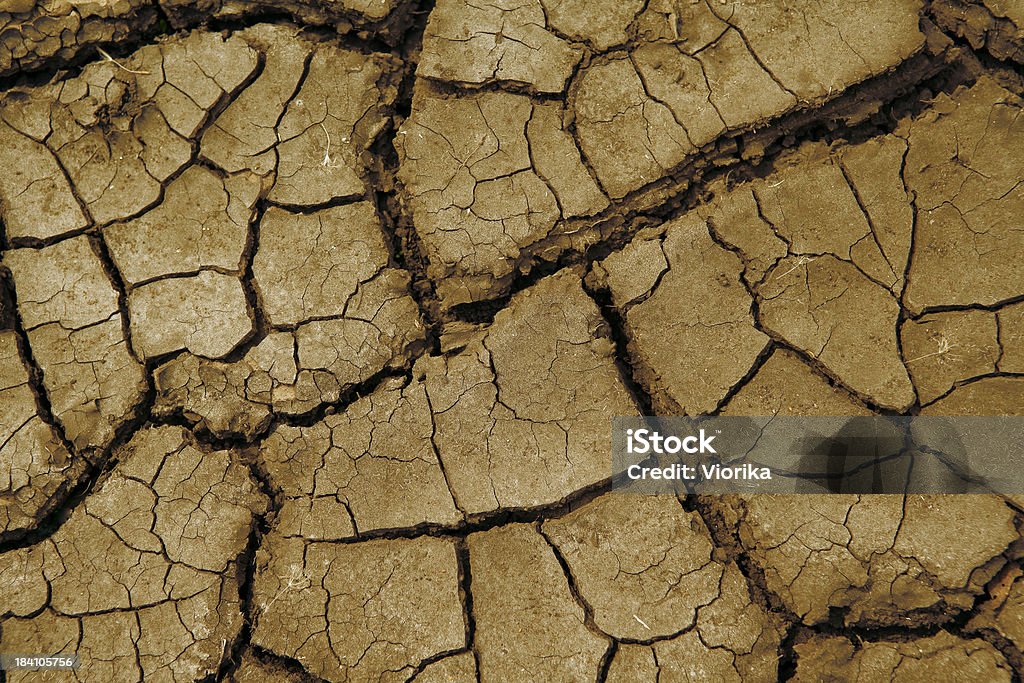 Dry soil texture Dry soil close-up. High resolution - 16 Mpx. Abstract Stock Photo