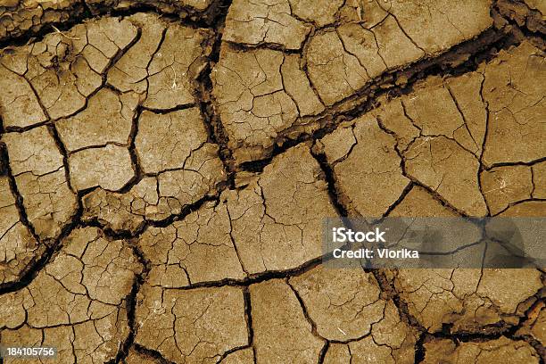 Dry Soil Texture Stock Photo - Download Image Now - Abstract, Agriculture, Arid Climate