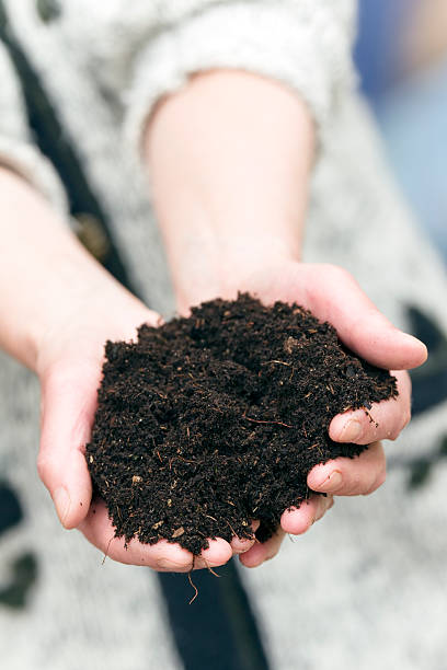 istock Handful of loam 184106258