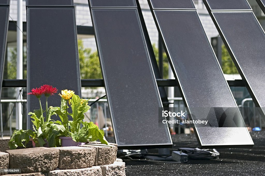 ソーラーパネルに花のディスプレイ - グリーンテクノロジーのロイヤリティフリーストックフォト