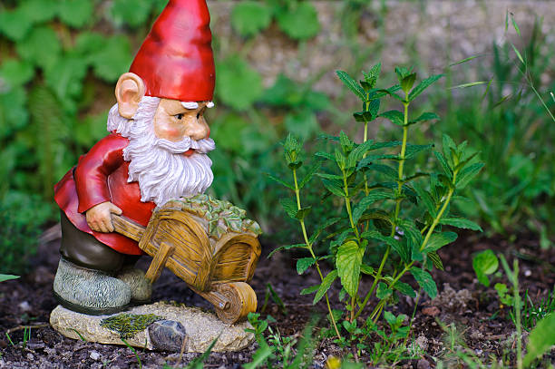 정원 바탕화면에서 Gnome 작업 스톡 사진