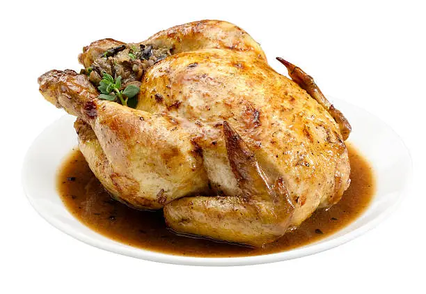 Cornish Hen with stuffing on a white plate with gravy.  Isolated on white.  A path is included.