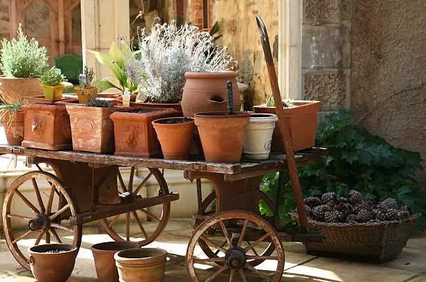 Unglazed earthenware pots with herbs in a tuscan outdoor setting