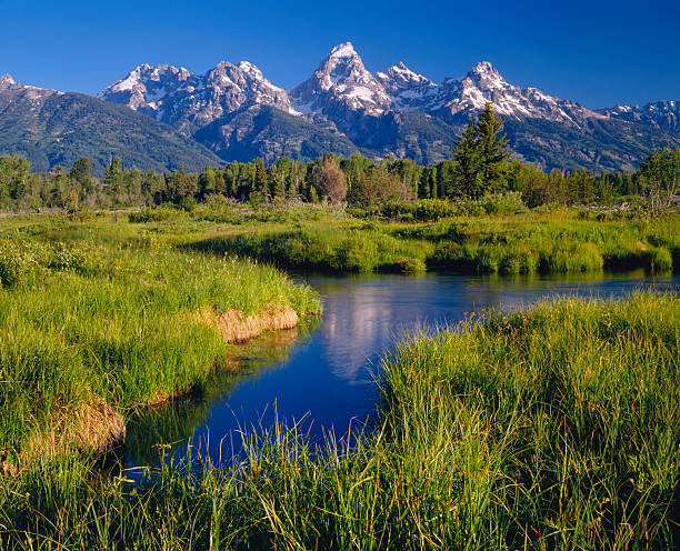 istock Grand Teton National Park 184106904
