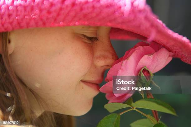 Düfte Gute Stockfoto und mehr Bilder von Blume - Blume, Blumenbeet, Cowboyhut