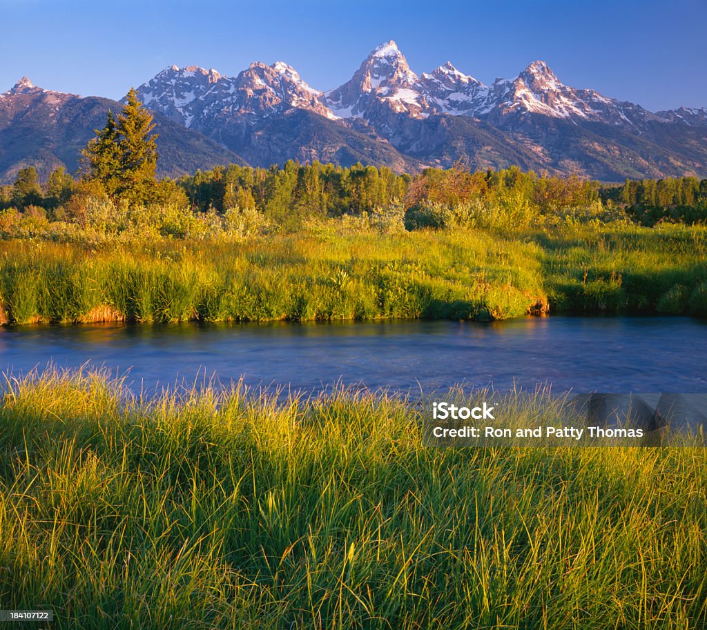 Утро на Tetons P - Стоковые фото Без людей роялти-фри